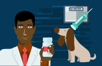Canine Cognitive Dysfunction