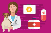 Nursing the Pancreatitis Patient