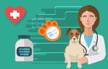 Canine Senior Health Clinics