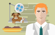Practical Canine Dentistry