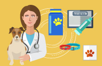 The Canine Urinary Patient