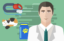 The Cat Owner - Feline Friend or Foe?
