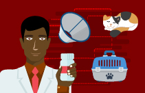 Feline Behavioural Problems