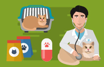 Feline Lower Urinary Tract Disease