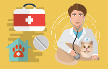 Nursing the Fracture Patient