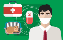 Understanding Feline Behaviour