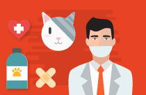 Understanding Feline House Soiling