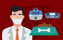 Periodontal Disease - Treatment