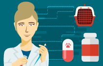 Well Pet Clinics - Senior Feline Health Clinics