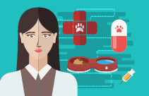 The Role of the VN SQP in Small Animal Practice