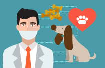 Well Pet Clinics - Senior Feline Health Clinics