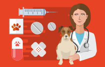 Anaesthesia for Geriatric Patients