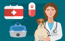 Bandaging, Casts and Skin Grafts
