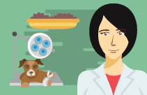 Equine Castration and Hernias