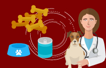 Ticks and Tick-borne Diseases of Companion Animals