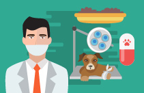 The Role of the VN SQP in Small Animal Practice