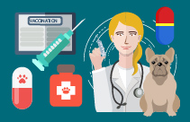 Veterinary Dental Radiographic Interpretation