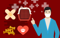 Analgesia Options for Small Animals