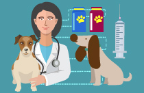 Nursing the Respiratory Patient