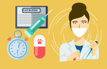 Anaesthetic Breathing Systems