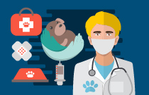 Preventing Anaesthetic Emergencies